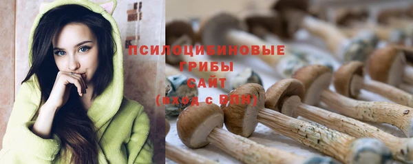 мяу мяу мука Гусев