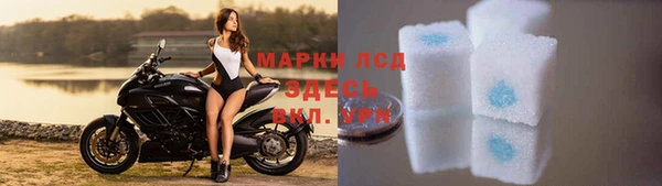 мяу мяу мука Гусев