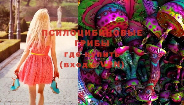 СК Гусь-Хрустальный