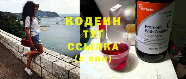 мяу мяу мука Гусев