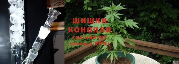 мяу мяу мука Гусев