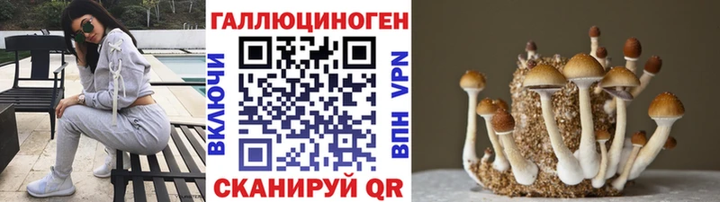 как найти закладки  Ельня  Галлюциногенные грибы GOLDEN TEACHER 