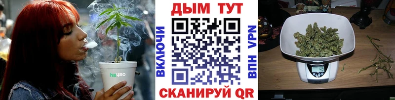 Конопля OG Kush  Ельня 